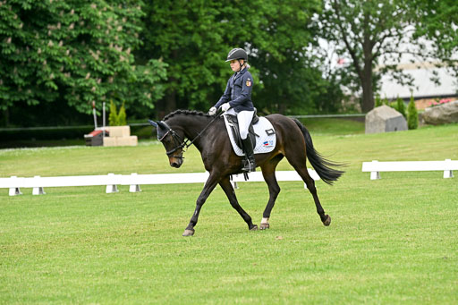  | 30052025 Dressur  (1048) 