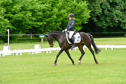  | 30052025 Dressur  (1049) 