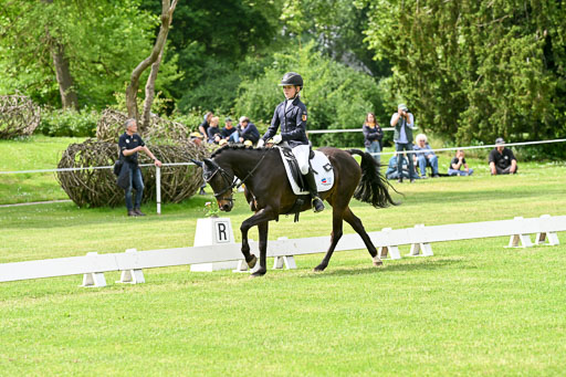  | 30052025 Dressur  (1062) 