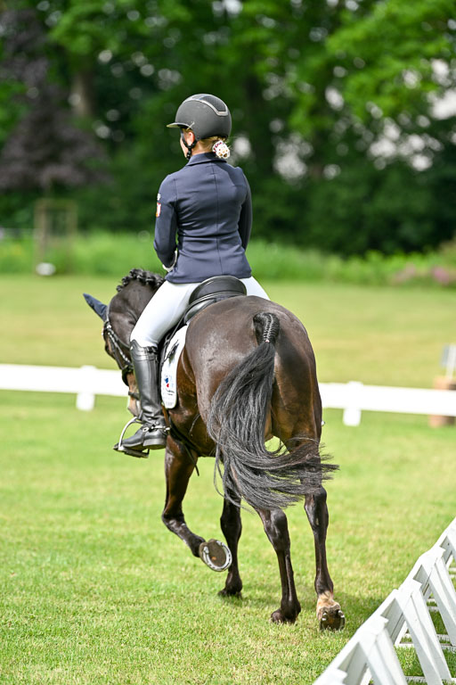  | 30052025 Dressur  (1064) 