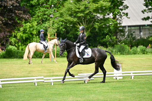  | 30052025 Dressur  (1066) 