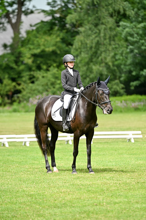  | 30052025 Dressur  (1072) 