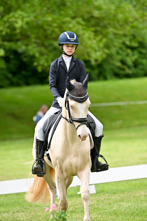  | 30052025 Dressur  (1074) 