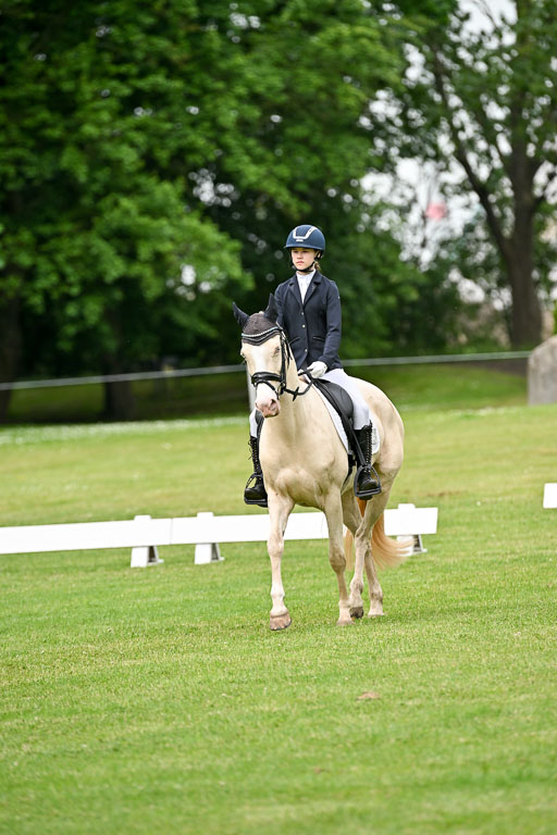  | 30052025 Dressur  (1077) 