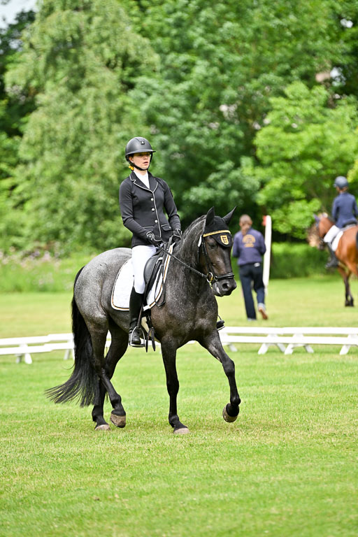  | 30052025 Dressur  (1081) 