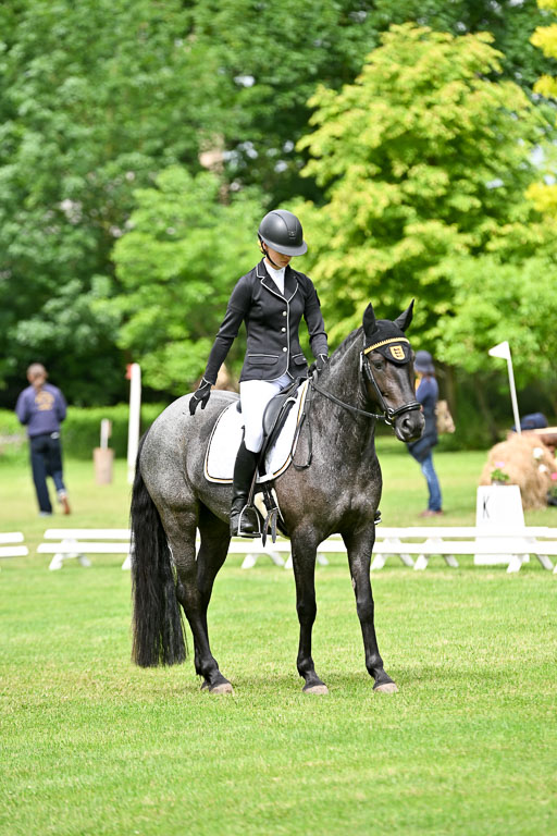 | 30052025 Dressur  (1082) 
