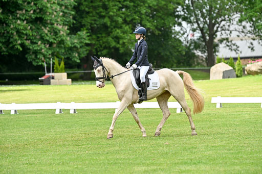  | 30052025 Dressur  (1085) 