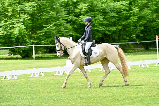  | 30052025 Dressur  (1087) 