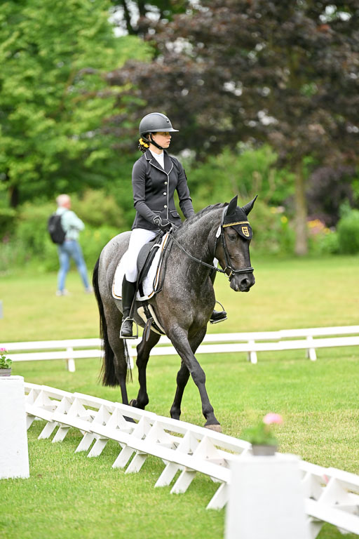  | 30052025 Dressur  (1088) 