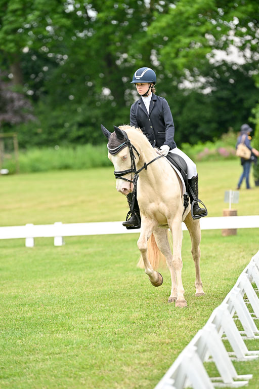  | 30052025 Dressur  (1090) 