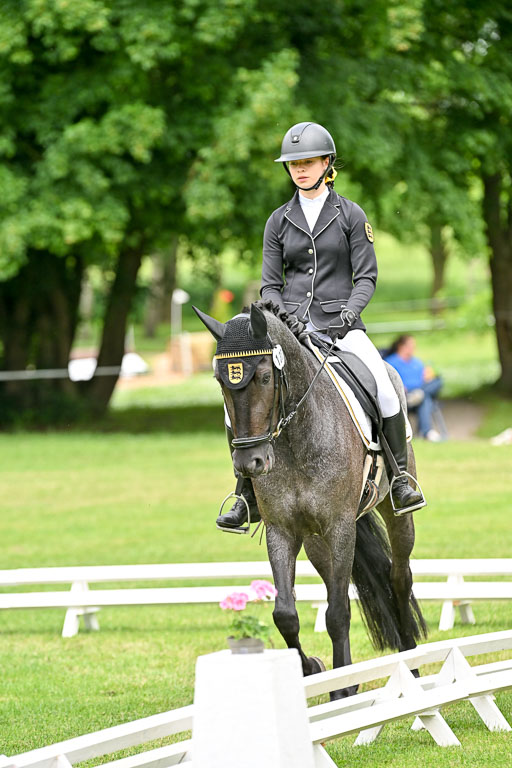  | 30052025 Dressur  (1091) 