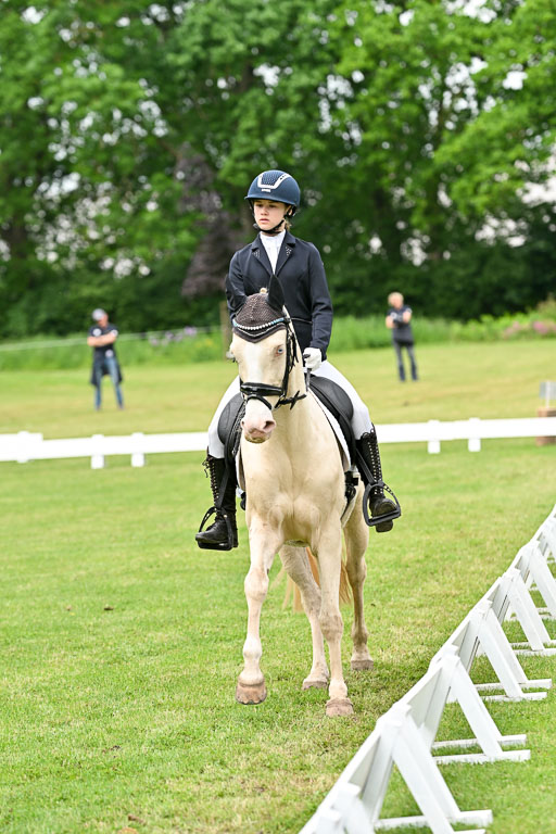  | 30052025 Dressur  (1092) 