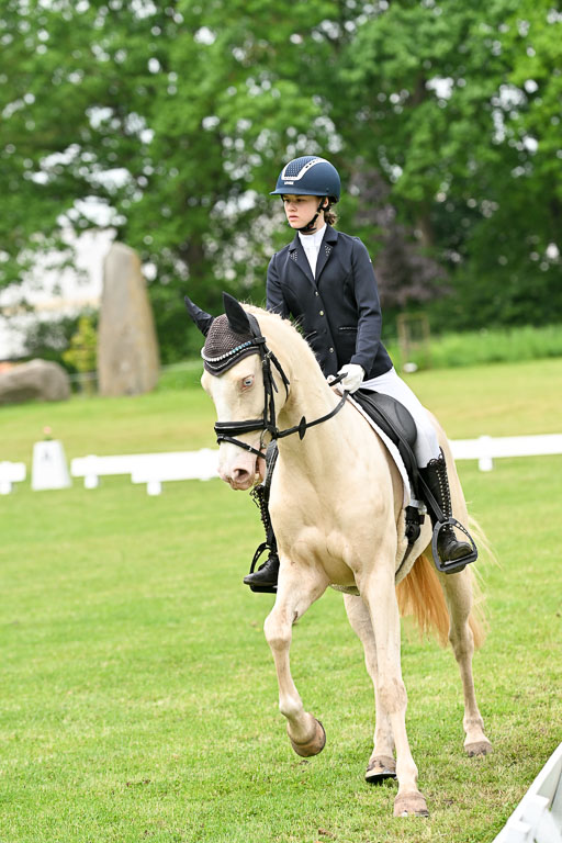  | 30052025 Dressur  (1093) 