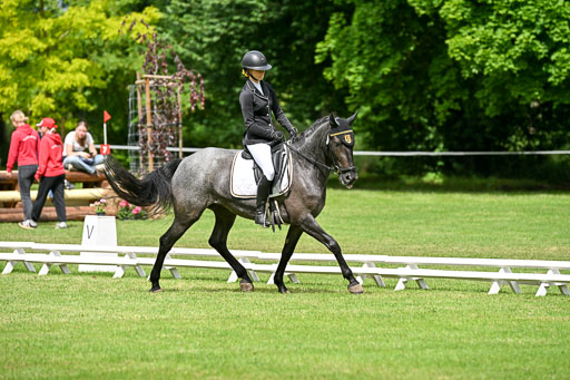  | 30052025 Dressur  (1094) 