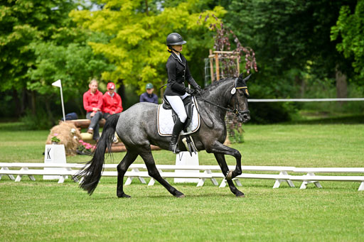  | 30052025 Dressur  (1095) 