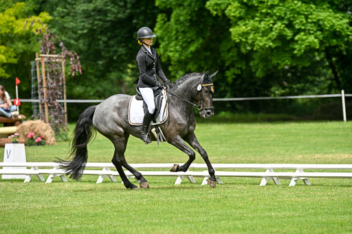  | 30052025 Dressur  (1096) 