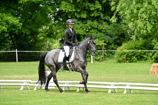  | 30052025 Dressur  (1097) 