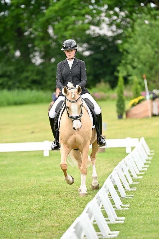  | 30052025 Dressur  (1116) 