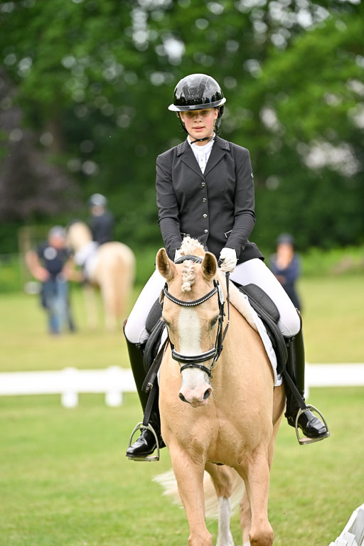  | 30052025 Dressur  (1117) 