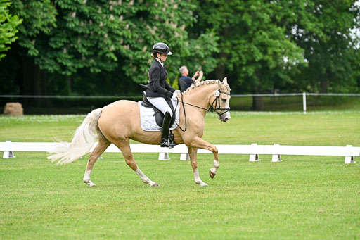  | 30052025 Dressur  (1119) 