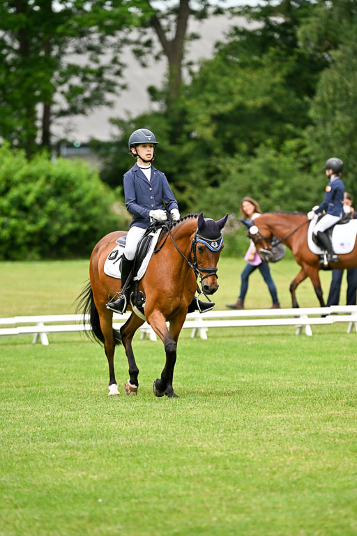  | 30052025 Dressur  (1125) 