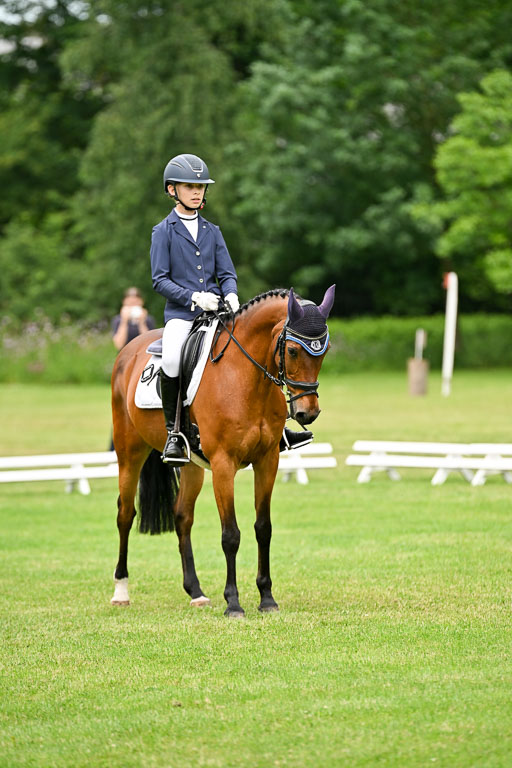  | 30052025 Dressur  (1126) 