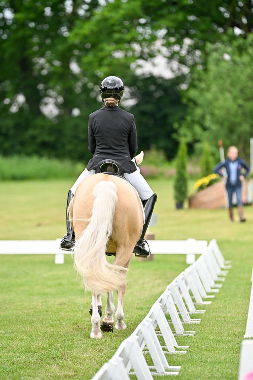  | 30052025 Dressur  (1128) 