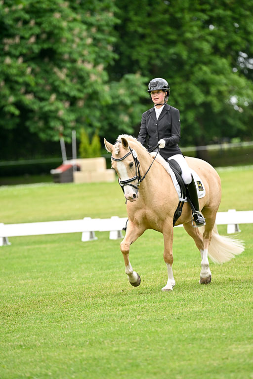  | 30052025 Dressur  (1130) 