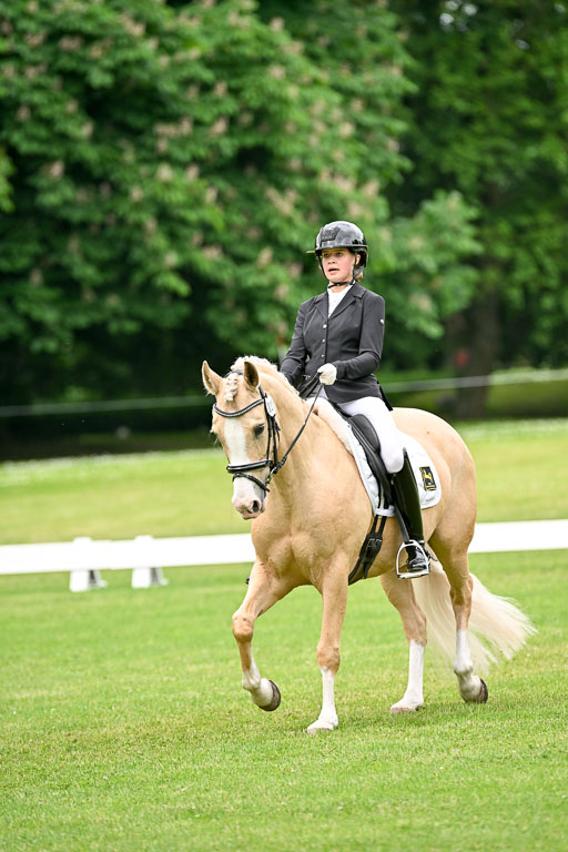  | 30052025 Dressur  (1131) 