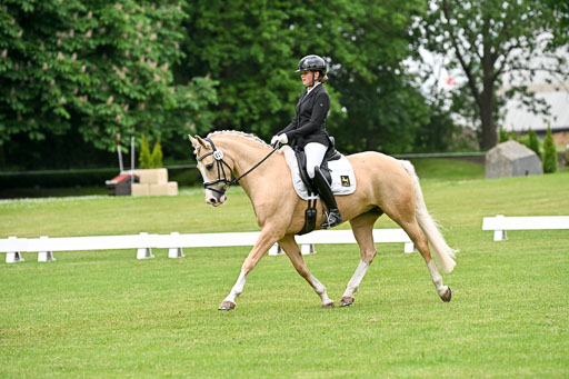  | 30052025 Dressur  (1136) 