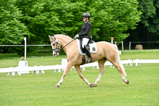  | 30052025 Dressur  (1137) 