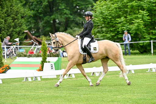  | 30052025 Dressur  (1138) 