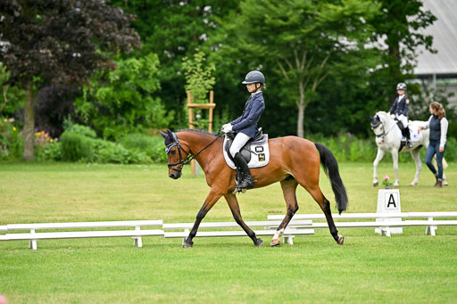  | 30052025 Dressur  (1139) 