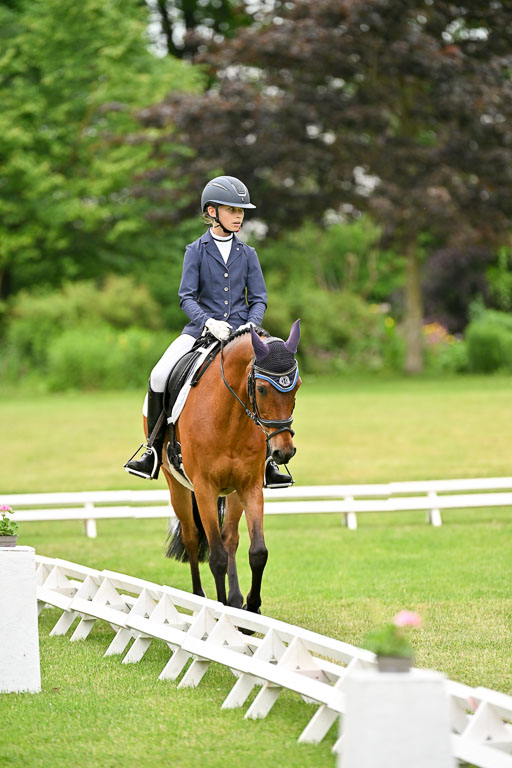  | 30052025 Dressur  (1141) 