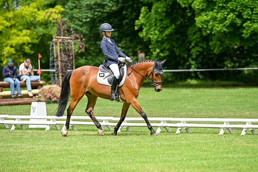  | 30052025 Dressur  (1144) 