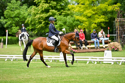  | 30052025 Dressur  (1146) 