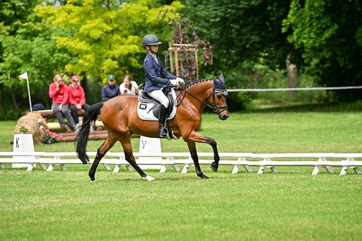  | 30052025 Dressur  (1147) 