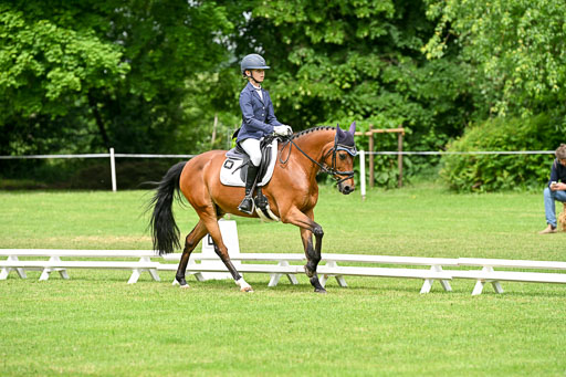  | 30052025 Dressur  (1148) 