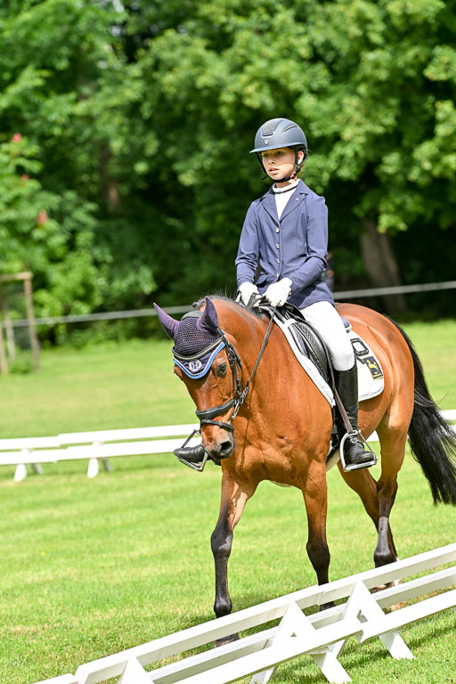  | 30052025 Dressur  (1150) 