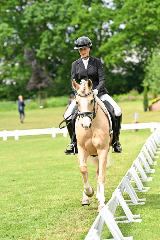  | 30052025 Dressur  (1152) 