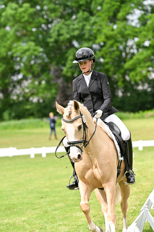  | 30052025 Dressur  (1153) 