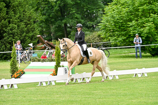  | 30052025 Dressur  (1155) 