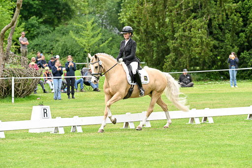  | 30052025 Dressur  (1156) 