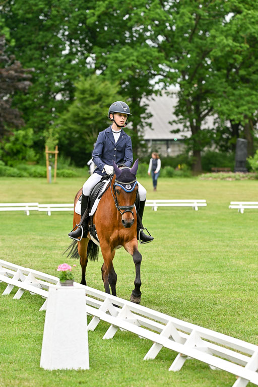  | 30052025 Dressur  (1157) 