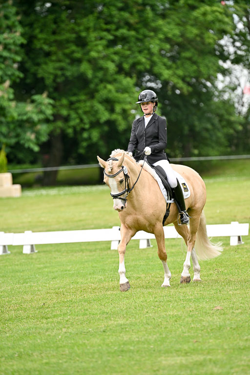  | 30052025 Dressur  (1159) 