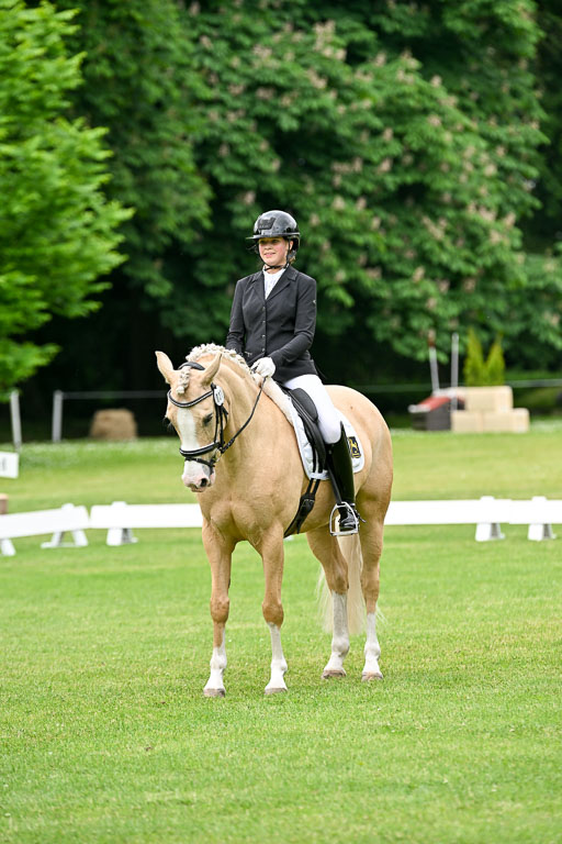  | 30052025 Dressur  (1160) 