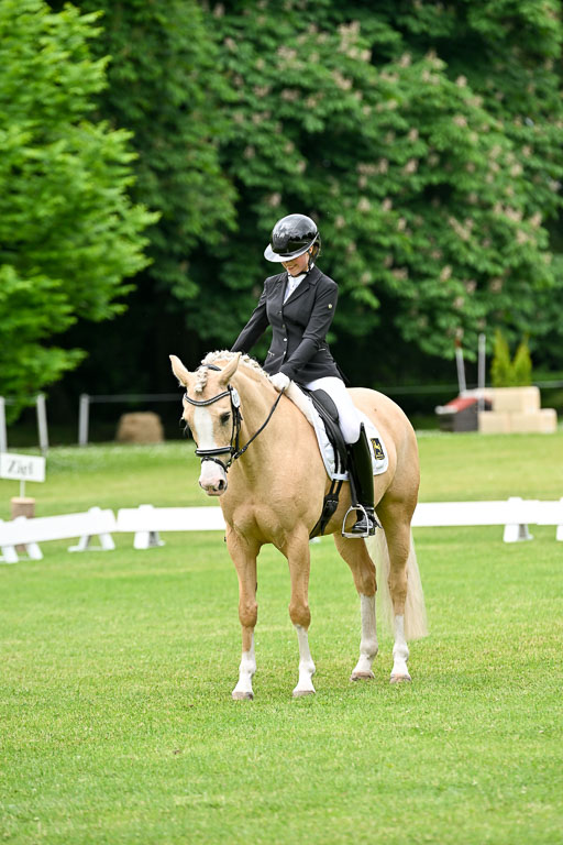  | 30052025 Dressur  (1161) 