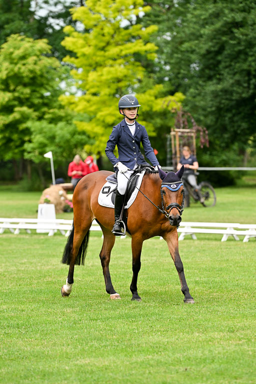  | 30052025 Dressur  (1165) 