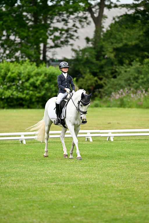  | 30052025 Dressur  (1168) 