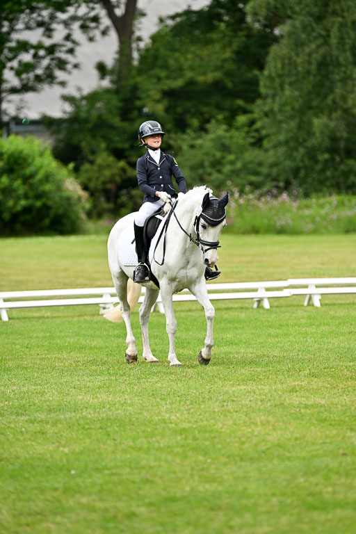  | 30052025 Dressur  (1169) 